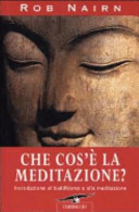 Copertina  Che cos'è la meditazione? : introduzione al buddhismo e alla meditazione